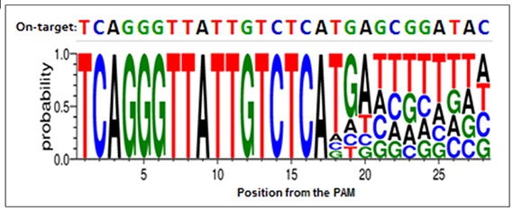 Development of highly efficient CRISPR-Cpf1 genome editing technology image