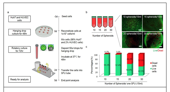 https://www.ncbi.nlm.nih.gov/pubmed/?term=Cell+spheroids+with+enhanced+aggressiveness+to+mimic+human+liver+cancer+in+vitro+and+in+vivo