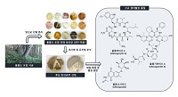 https://www.ncbi.nlm.nih.gov/pubmed/?term=Polyketides+and+Anthranilic+Acid+Possessing+6-Deoxy-%CE%B1-L-talopyranose+from+Streptomyces
