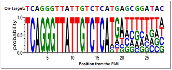 https://www.ncbi.nlm.nih.gov/pubmed/?term=Highly+efficient+genome+editing+by+CRISPR-Cpf1+using+CRISPR+RNA+with+a+uridinylate-rich+3%E2%80%B2-overhang