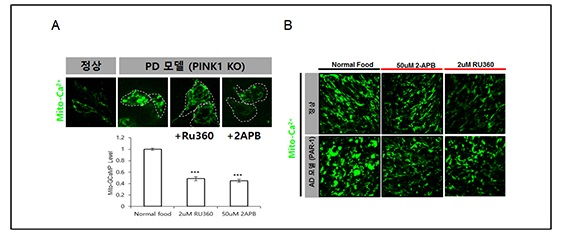 https://www.ncbi.nlm.nih.gov/pubmed/30185553