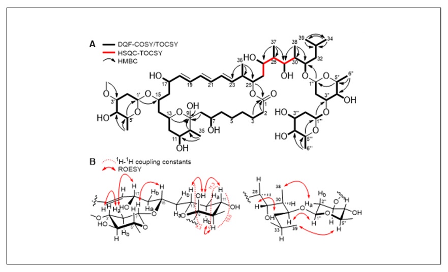 https://pubs.acs.org/doi/10.1021/acs.orglett.8b03160