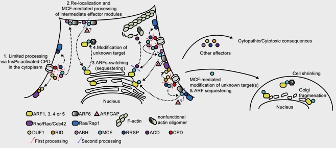 https://www.pnas.org/content/116/36/18031