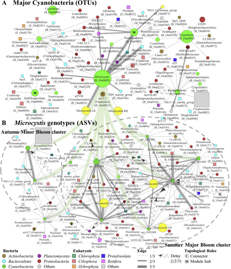 https://www.sciencedirect.com/science/article/pii/S0043135419311005