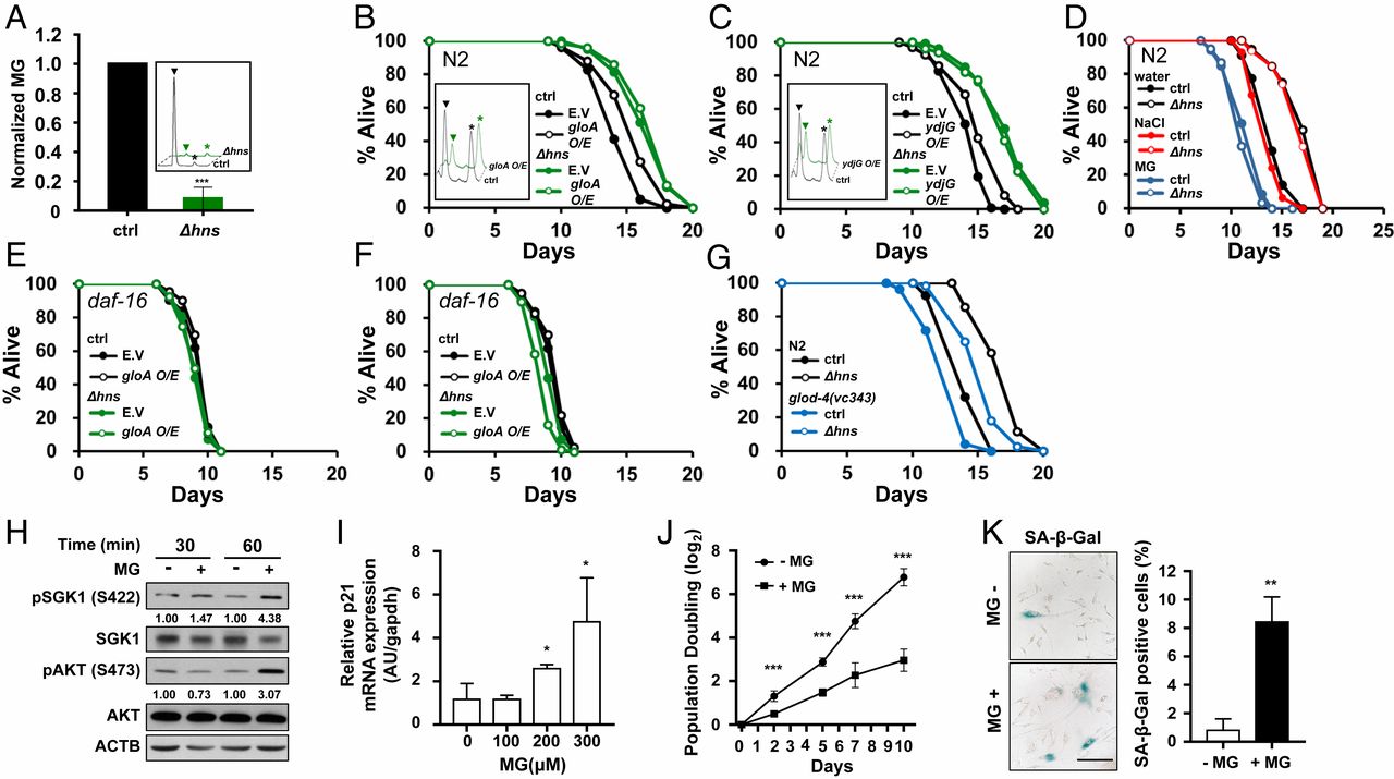 https://pubmed.ncbi.nlm.nih.gov/32636256/