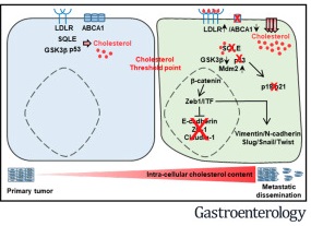 https://www.sciencedirect.com/science/article/pii/S0016508520351465