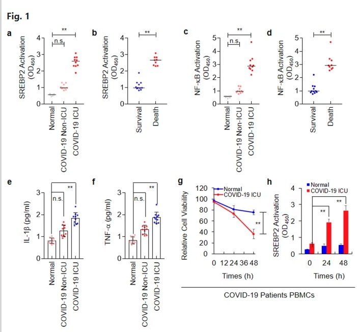 https://www.ncbi.nlm.nih.gov/pmc/articles/PMC7653047/