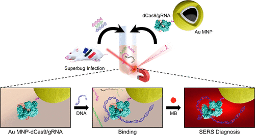 https://pubs.acs.org/doi/10.1021/acsnano.0c07264