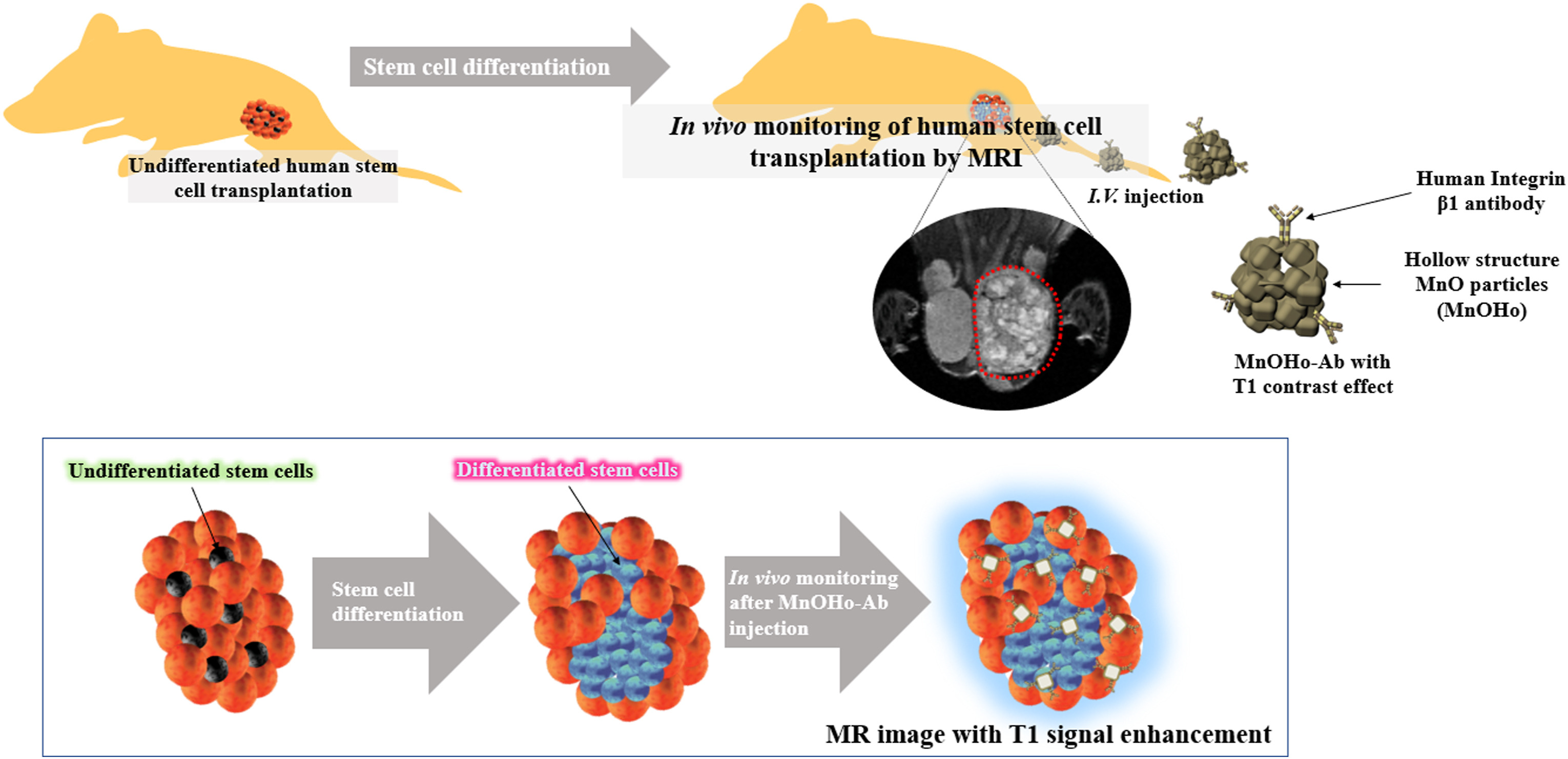 https://www.sciencedirect.com/science/article/pii/S0956566321000750