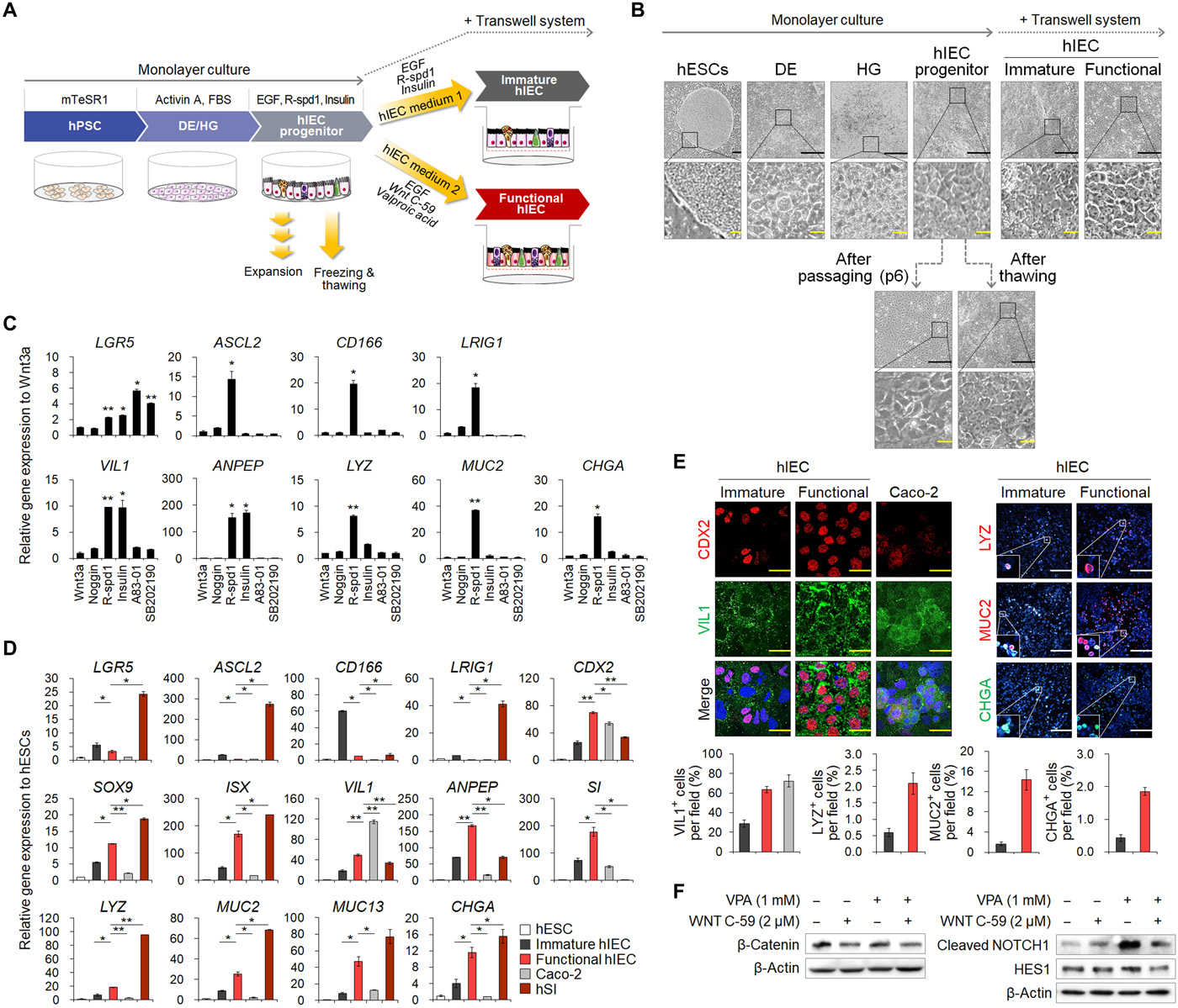 https://advances.sciencemag.org/content/7/23/eabh1586