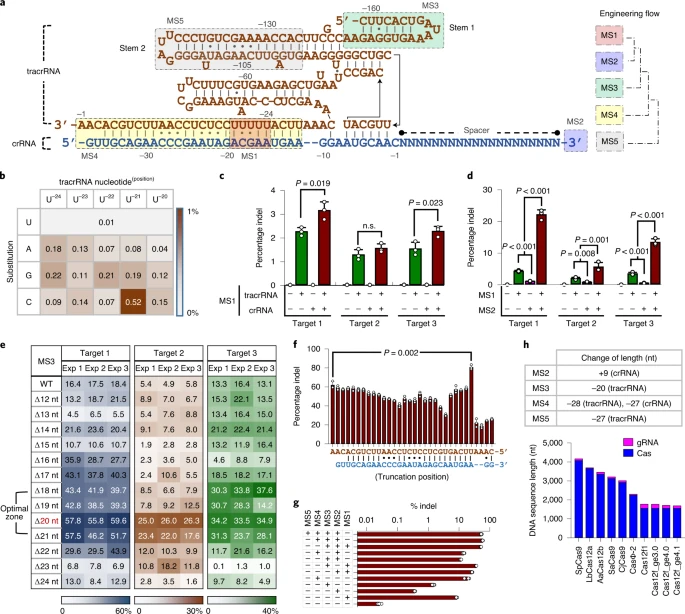https://pubmed.ncbi.nlm.nih.gov/34475560/