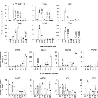 https://pubmed.ncbi.nlm.nih.gov/34341536/
