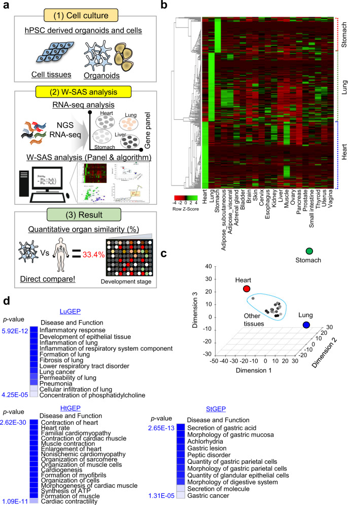 https://pubmed.ncbi.nlm.nih.gov/34301945/