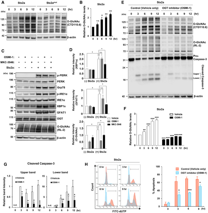 https://pubmed.ncbi.nlm.nih.gov/34842355/
