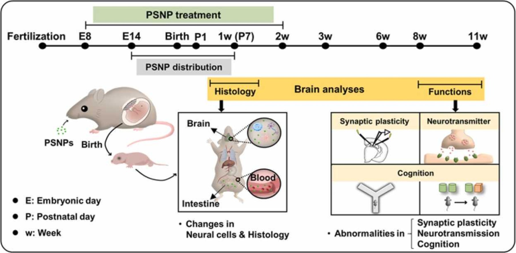 https://pubmed.ncbi.nlm.nih.gov/34823950/