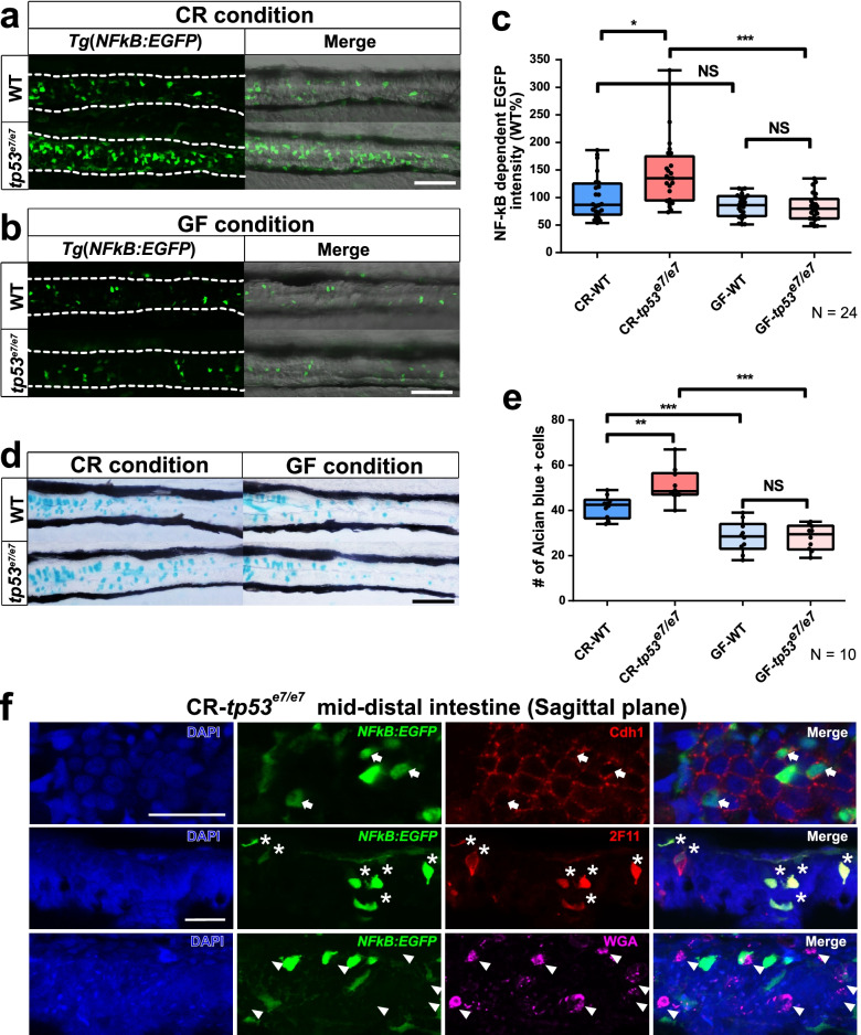 https://pubmed.ncbi.nlm.nih.gov/34991725/