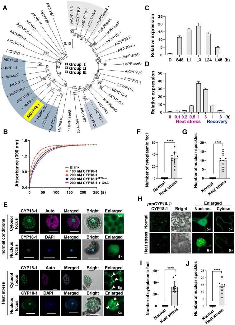 https://pubmed.ncbi.nlm.nih.gov/35262729/