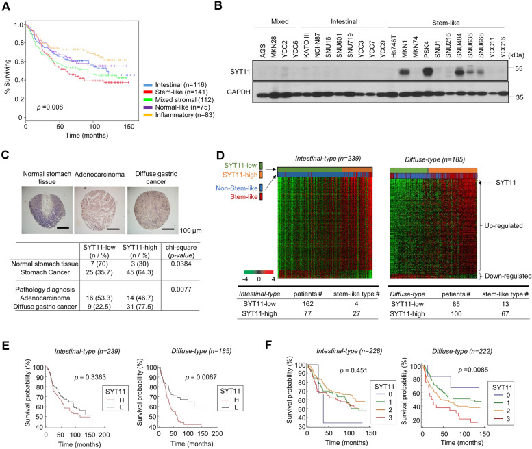 https://pubmed.ncbi.nlm.nih.gov/35768842/