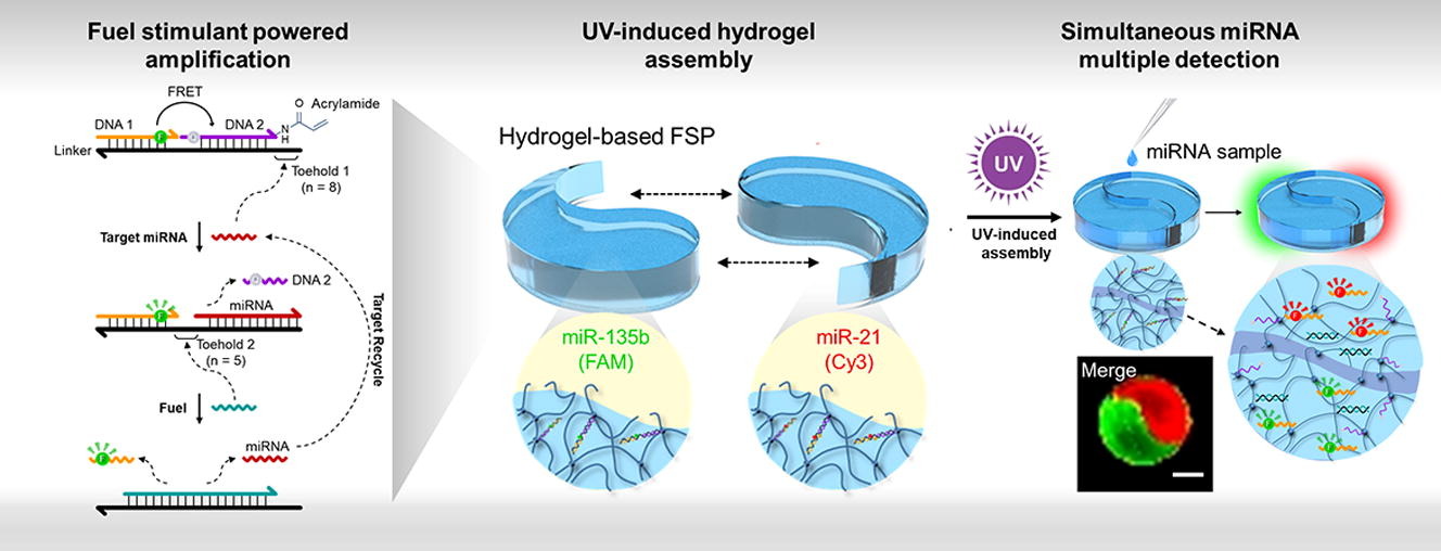 https://www.sciencedirect.com/science/article/pii/S1385894722031242