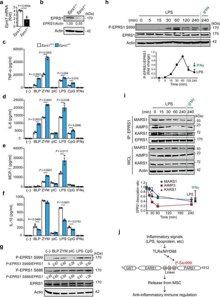 https://pubmed.ncbi.nlm.nih.gov/36309524/