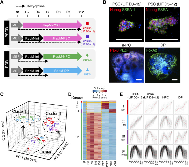 https://pubmed.ncbi.nlm.nih.gov/36306352/
