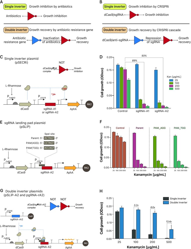 https://pubmed.ncbi.nlm.nih.gov/36511859/
