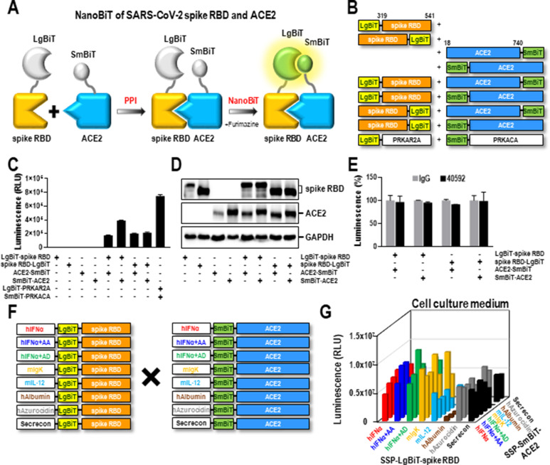 https://pubmed.ncbi.nlm.nih.gov/36827795/
