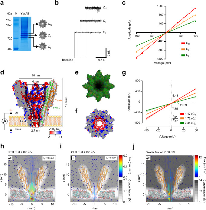 https://pubmed.ncbi.nlm.nih.gov/37015934/