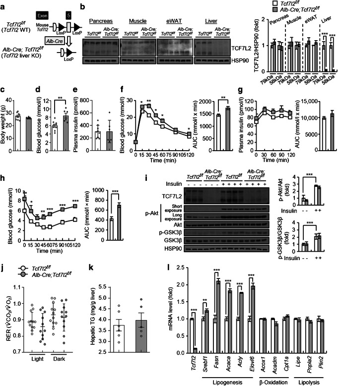 https://pubmed.ncbi.nlm.nih.gov/36759348/