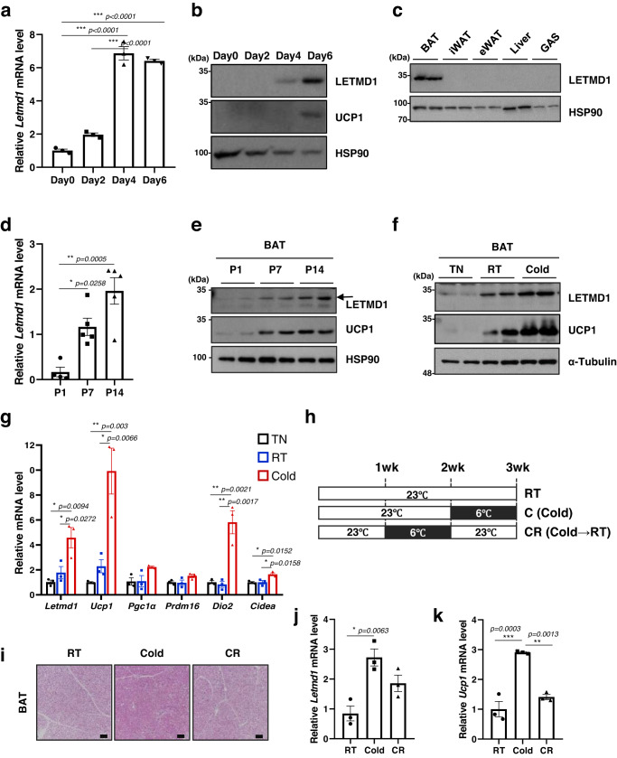 https://pubmed.ncbi.nlm.nih.gov/37353518/