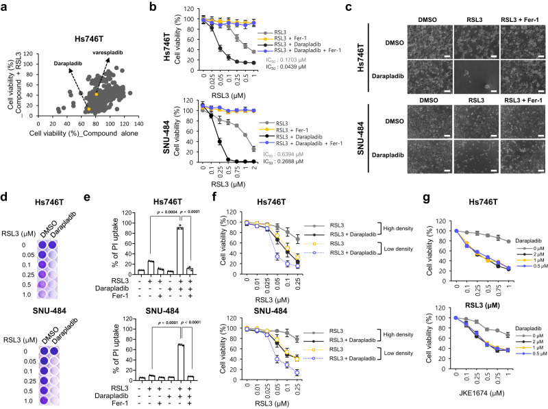 https://pubmed.ncbi.nlm.nih.gov/37714840/