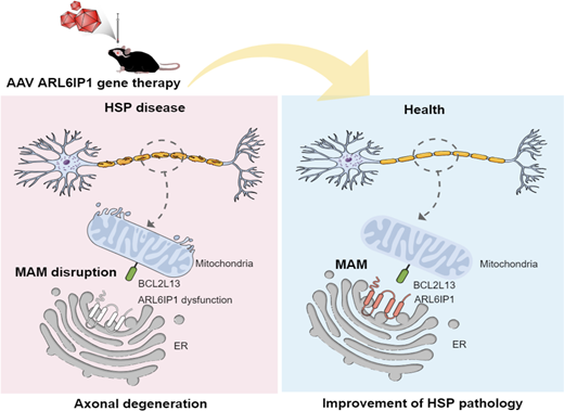  https://pubmed.ncbi.nlm.nih.gov/37934410/