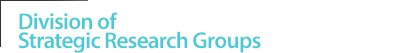 Division of Strategic Research Groups