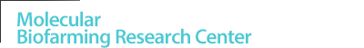 Molecular Biofarming Research Center