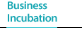Business Incubation 