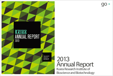 2013 Annual Report