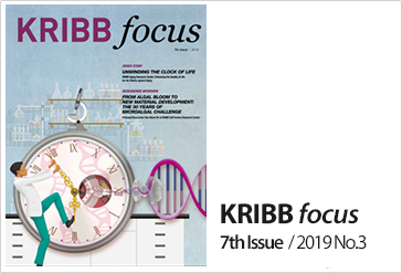 KRIBB focus 7th Issue / 2019 No.3
