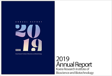 2019 Annual Report
