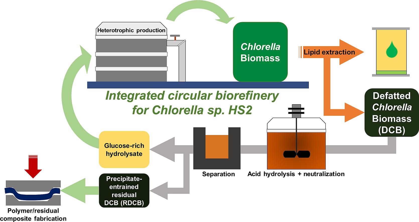 Toward a zero-waste microalgal biorefinery: Complete utilization of defatted Chlorella biomass as a 